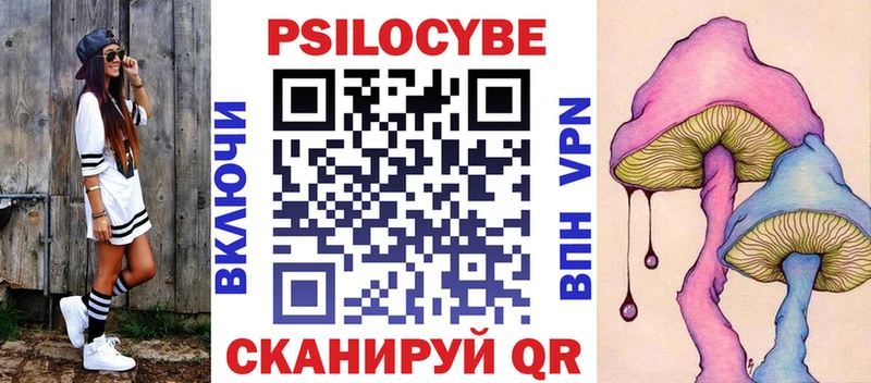 как найти   Нерехта  Псилоцибиновые грибы Magic Shrooms 